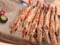 -鲔屋寿喜烧