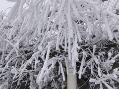 -太子岭滑雪场