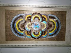 -上海昆虫博物馆