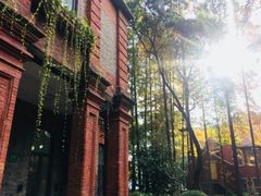 -上海理工大学(复兴路校区)