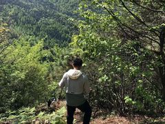 -东天目山风景区