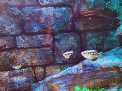 -沈阳海洋探索中心