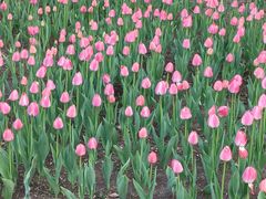 -长春公园(普阳街道)