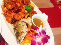 -Daddy Nimman Chiang Mai