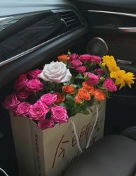 -Oasis Beauty水磨坊科技美肤中心