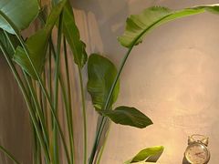 -时光花园(白鹭洲店)