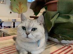 -小时光咖啡馆(北锣鼓巷店)