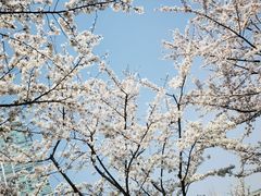-静安雕塑公园