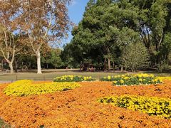 -共青国家森林公园-售票处