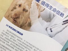 -芭比堂动物医院·心脏专科·夜诊·吉雅分院