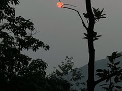 -风云岭森林公园