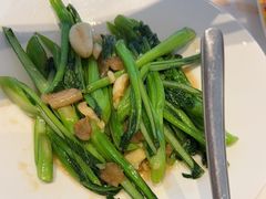 油渣生炒广东菜心-顺味凤城·顺德菜专门店(九六广场店)