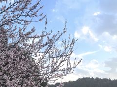 -穹窿山景区
