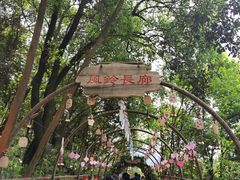 -石燕湖生态旅游景区