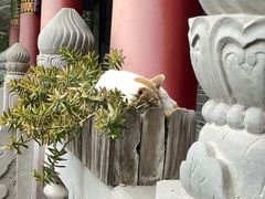 -成都老君山