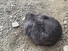 -国色天乡三期陆地乐园
