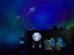 -西海国立公园九十九岛水族馆