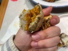 -杨氏青龙虾·羊蝎子(托乐嘉店)