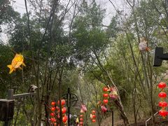 -丰都鬼城名山景区