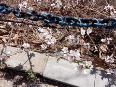 -燕窝岭