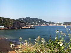 -枸杞岛