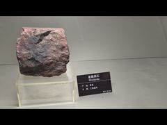 -甘肃地质博物馆