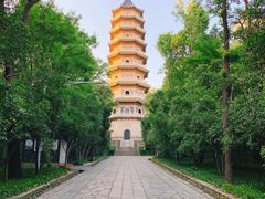 -灵谷景区
