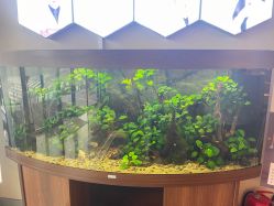 -医美信医疗整形美容