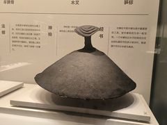 -四川大学博物馆