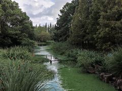 -东方绿舟景区