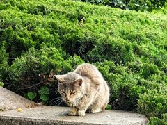 -烟台山景区