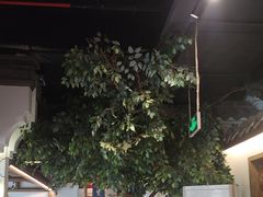 -紫腾大院·南京菜(江宁店)