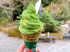 -豆政(金閣寺境内売店)