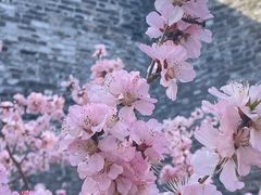 -北京明城墙遗址公园