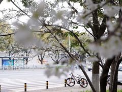 -玉山公园