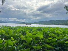 -湖畔居茶楼(湖滨店)