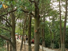 -火炉山森林公园