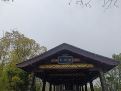 -长广溪湿地公园