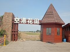 -空港花田景区