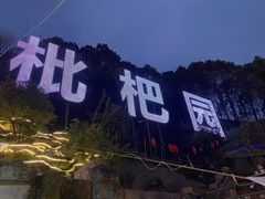 -枇杷园食为鲜火锅(南山店)