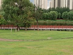 -蒲河岛湿地公园