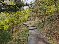 -北京十三陵国家森林公园蟒山景区