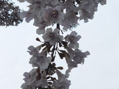 -红星桥(地铁站)