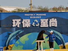 -秦皇岛乐岛海洋王国