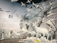 -中国湿地博物馆