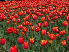 -长春公园(普阳街道)