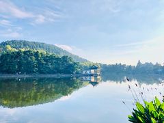 -庐山风景区花径公园