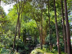 -成都市活水公园