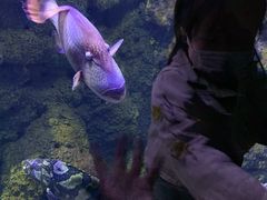 -江和美海洋公园