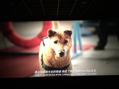 -汇金缪斯影城(八佰伴店)